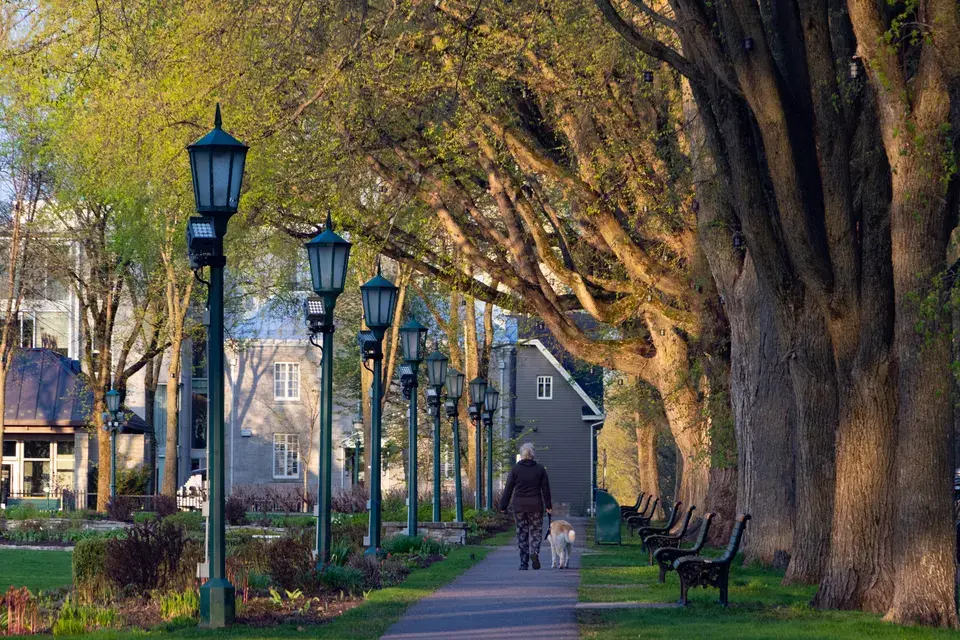 Serving the Historic Avondale Estates Community — Avondale Estates, GA
